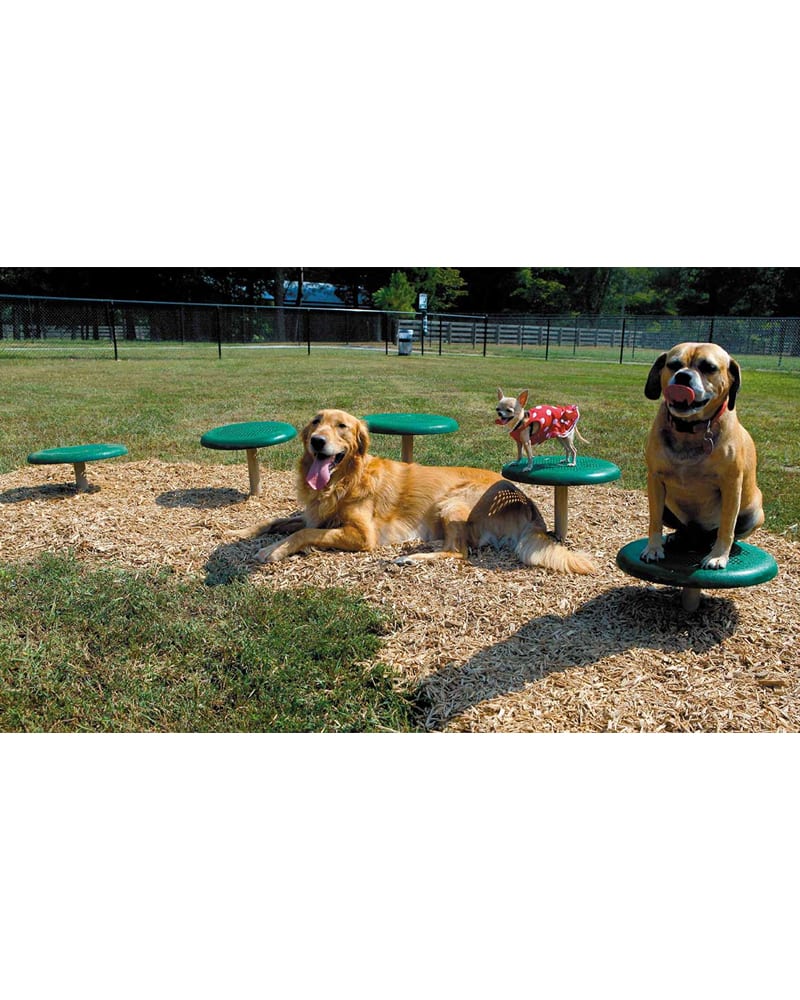 Backyard Dog Playground - I used this for inspiration and had one of these  built. the platform is 6' x 12' with …